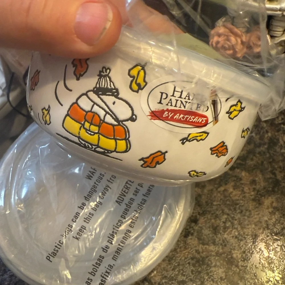 Peanuts fall bowl set